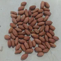 استخدام نیروی کار آقا در شهرک صنعتی نقره ده