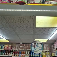 نیروی کار خانوم