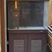 آکواریوم آب شور