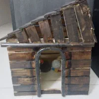 کلبه سگ و گربه