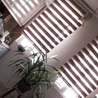 پرده.پرده زبرا