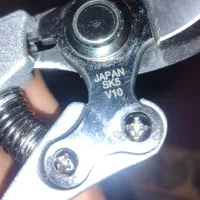 شاخه زن ژاپنی قدیمی