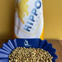 قهوه روبوستا چری دان سبز