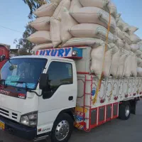 کاه|لوازم جانبی حیوانات|بندرعباس, |دیوار