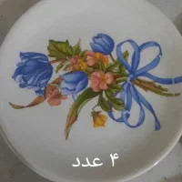 بشقاب ملامین وچینی