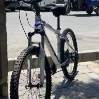 دوچرخه ویوا اصلی