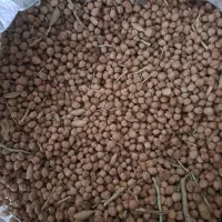 نخود|خوردنی و آشامیدنی|بربرود, |دیوار