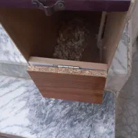 لانه ام.بی اف برا عروس وگرنچیک