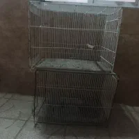 قفس پرنده بزرگ