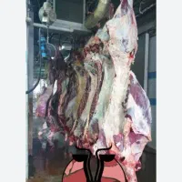 گوشت گوساله لاشه ایرانی گرم و یخی تازه