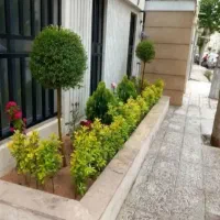 هرس وسمپاشی درختان باغ وباغچه گل وگیاه وعلف زنی