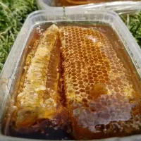 عسل کاملا طبیعی تبریز ....
