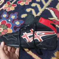 کفش کشتی