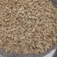 توت خشک قیسی درجه یک امسالی