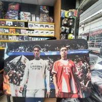 کیف محافظ مخصوص کنسول PS4 و PS5 (ضد ضربه و مقاوم)