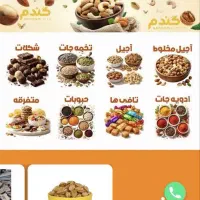 پر رزومه ترین طراحی سایت کرج/یکسال پشتیبانی رایگان