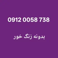 09120058738