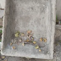 فرغون کارکرده در حد نو