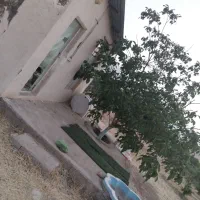 باغ-فروشی-در-مجموعه-باغی-ترشاب