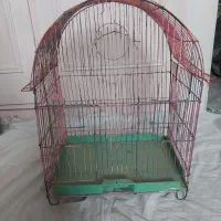 قفس پرنده