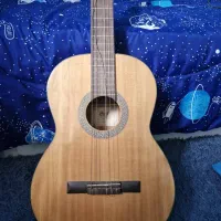 فروش گیتار