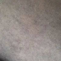 موکت درحد نو