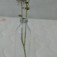 گلدون شیشه ای