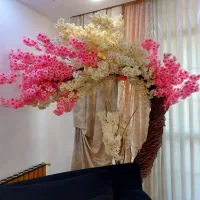 گل بهاری دورنگ  شکل منحنی