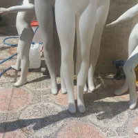 مانکن لباس