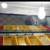 آینە بزرگ برای فروش