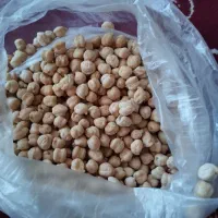 نخود محلی 700کیلو موجود کیلو 220