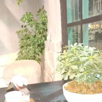 1350متر زمین در  خسروجرد