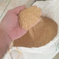 سویا دامی درجه ۱