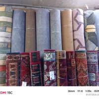 طرحدار و ساده موکت ظریف نمایندگی