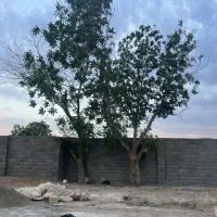 باغچه 300 متر شهریار / سند آماده