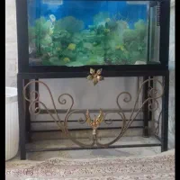 اکواریوم