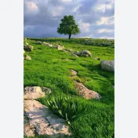 طبیعت ،تور