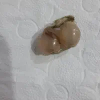مهره،سنگ،انگشتر،حلقه