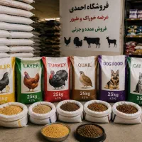 برای خرید خوراک باکیفیت، حضوری مراجعه کنید