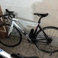 جاینت تنه کربن سایز۲۵ کورسی