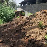 کود گاوی پرواری پودر