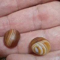 مهره