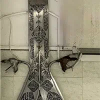 شاه تیغ علامت