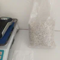 بذر قارچ خوراکی