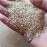 بذر