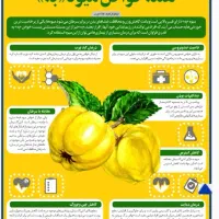 فروش شربت به لیمو خوش طعم