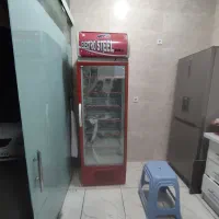 یخچال فریزر ایستاده موتور بزرگ