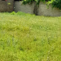 زمین-راسته-بیست-متری-معلم