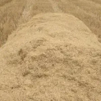 کاه گندم کاه کوب