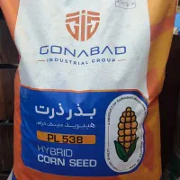 فروش بذر ذرت علوفه ای دانه ای 703 704 pl538 هکتور